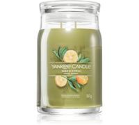 Yankee Candle Sage & Citrus vela perfumada Signature 567 g