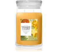 Yankee Candle Starfruit & Sunshine vela perfumada 567 g