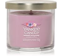 Yankee Candle Summit Stargazing vela perfumada Signature 122 g