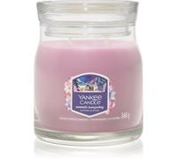 Yankee Candle Summit Stargazing vela perfumada Signature 368 g