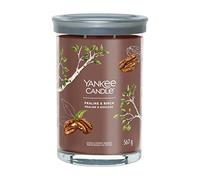 Yankee Candle Vela aromática Signature | Vela de vaso grande de praliné y abedul con doble mecha, mezcla de cera de soja de larga duración, regalo perfecto para mujeres