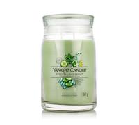 Yankee candle vela aromática signature - vela en tarro grande con dob