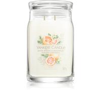 Yankee Candle White Spruce & Grapefruit vela perfumada 567 g