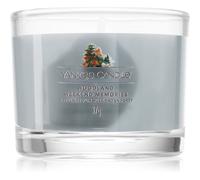 Yankee Candle Woodland Weekend Memories vela votiva 37 g