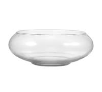 Yardwe Cuenco de pescado transparente Maceta redonda Maceta Suculenta Cuenco Mini Maceta Hidropónica Contenedor de Plantas para Bonsai Cactus Suculentas
