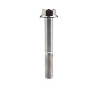 Yaruijia Tornillo hexagonal de brida de titanio M10 x 30 35 40 45 55 60 65 70 75 80 100 mm rejilla 1,25 mm (M10 x 75 mm).