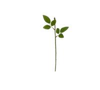YGLEEULI Artificiales con Hojas Plantas 10 Uds. De Ramas de Flores, Tallos, Falsas, Rosas con Hojas, Alambre Floral, Decorar hortensias, Plantas, decoración DIY(Rose Leaf Stem 32cm)