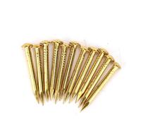 Yinhing Clavos Redondos de Latón, 100 Unidades de Clavos de Cobre para Bisagras de Muebles, Disponibles en Longitudes de 10 Mm, 15 Mm, 18 y 22 (22mm de largo espesada)