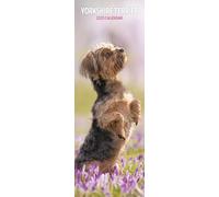 Yorkshire Terrier 2025 - Calendario delgado