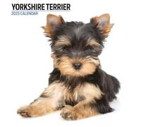 Yorkshire Terrier 2025 - Calendario moderno