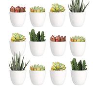 Youngever Paquete de 24 Mini macetas de plástico de 5 cm, macetas de Flores de Interior, Maceta de jardinería Blanca con Drenaje, no Incluye Planta (Moderna)