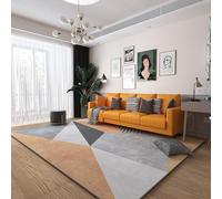 YUANWAN Alfombra de Salón 90 x 160 cm Antideslizantes y Lavable Alfombras Modernas Super Suaves de La Pelusa Alfombra Salón para El Juego de Los Niños Decora El, 2