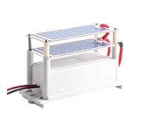 YWBL-WH Generador de Ozono 12V 10g/h, Esterilizador de Aire con Placa de Cerámica para Eliminación de Olores y Purificación en Coche