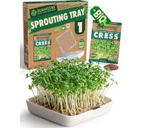 zengreens® Bandeja de germinación Bio - Set de 1 - Plato germinador con Rejilla - Incluye: Bandeja y Semillas (Berro)