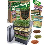 zengreens® Germinador de Pisos Bio - Torre de germinación de 4 Niveles - Incluye: Torre y Semillas (brócoli, rábano y Frijoles Mungo)