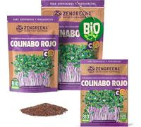 ZenGreens® Semillas de colirrábano rojo eco - 200g o 500g