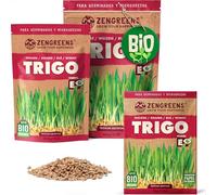 ZenGreens® Semillas de trigo eco eco - 200g o 500g