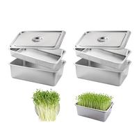 Zephviora Kit de Germinación 2 Piezas de Acero Inoxidable, Bandejas de Germinación 32x22cm con Tamiz Fino - Bandejas de Cultivo para Microgreens, Germinador Sin Tierra para Berros, Alfalfa, Judías