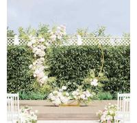Ziaphsol Arco de boda dorado en forma de corazón de acero 195 x 35 x 211 cm, 1 juego para decoración exterior en la entrada, como arco de rosas para bodas, jardín y balcón