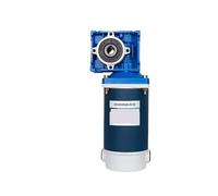 ZIDRMTKVK Motor Reductor de Engranajes helicoidales 300 W, 12 V/24 V, Velocidad Ajustable, Gran par Avance y Retroceso, RV30, Motor Alta Potencia(5D300GN RV30 24V 105 RPM)