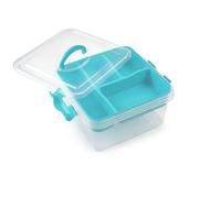 ZYLX SHOPPING - Caja Organizadora de Plástico 5 L con Compartimentos y Tapa | Organizador Multiusos 24,5×26,5×13,5 cm
