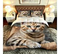 ZZXHG Nórdico Confortable para Parejas | 3D Animales Gatos, Edredón Sustituto de Plumas, Ultra Suave, Lavable a Máquina, con 2 Fundas, Dormitorio Principal_A21082