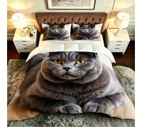 ZZXHG Nórdico de Tamaño Gigante | 3D Animales Gatos, Edredón Mullido y Transpirable, Sustituto Edredón de Plumas, con 2 Fundas de Almohada, para Cama de 180 cm_A21048